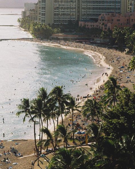 carson grzegorczyk on Instagram: "jace & meeya 💫🌺🎞️ shot on film in waikiki beach— • • • #35mm #35mmphotography #35mmfilm #35mmfilmphoto #filmisnotdead #filmisalive…" Photography 35mm, Shot On Film, 35mm Photography, Location Inspiration, Film Photography 35mm, Waikiki Beach, Oahu Hawaii, On Film, Travel Photographer