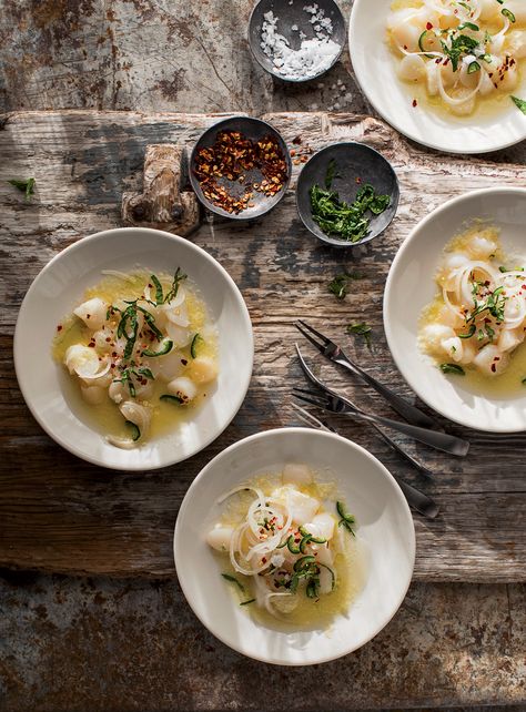 Ceviche Recipe Scallop, Scallop Crudo Recipe, Sea Bass Crudo, Shrimp And Scallop Ceviche Recipe, Scallop Crudo, Scallop Crudo Michelin, Carpaccio Recipe, Scallop Ceviche, Fresh Scallops