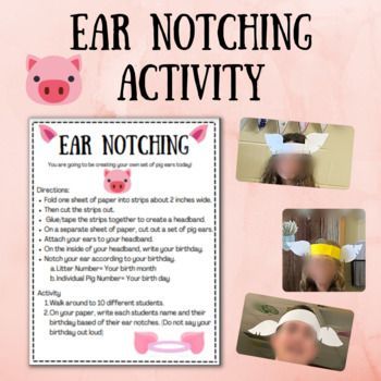 Do you need a fun way to review swine ear notching, then look no further. This ear notching activity allows students the opportunity to create their own pig ears, notch them accordingly, and then read their classmates ear notches. This is a simple yet creative and fun review activity that only requires paper, scissors, and tape. ** I completed this activity with my high school students and they truly loved it. The activity might seem a little "childish" but several of my high school students sai Ag Activities For Kids, Ag Education Activities, Agriscience Lessons, 4 H Meeting Activities, 4-h Meeting Ideas, 4h Cloverbud Activities, 4h Meeting Activities, Cloverbuds 4-h Activities, Dustpan Cookies