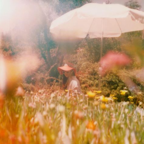 Lana Del Rey, Honeymoon Photoshoot by Neil Krug Neil Krug, Terrence Loves You, Lana Del Rey Honeymoon, First Art, The Grass, Retro Aesthetic, Photography Inspo, Vintage Aesthetic, Film Photography