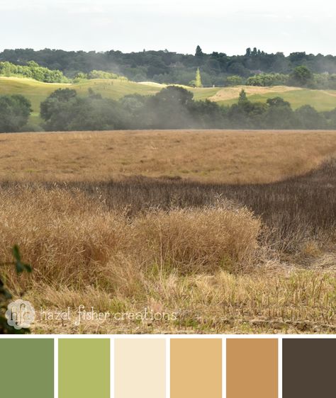 Colour Palette No.30 Harvest Time Field - Hazel Fisher Creations Wheat Field Color Palette, Harvest Colour Palette, Harvest Color Palette, Countryside Color Palette, Barley Field, Landscape Rug, Sunrise Colors, Color Boards, House Color Palettes