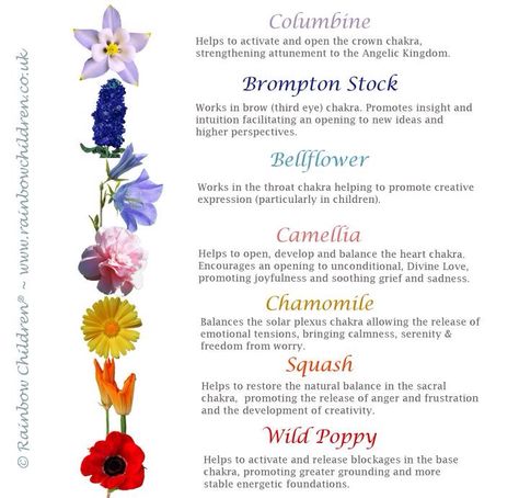 Flower essences for the chakras. Chakra Flowers, Flower Essences Remedies, Chakra Painting, Healing Flowers, Rose Gold Bracelets, Chakra Tattoo, Bach Flowers, Flower Remedies, Necklace Gold Jewelry