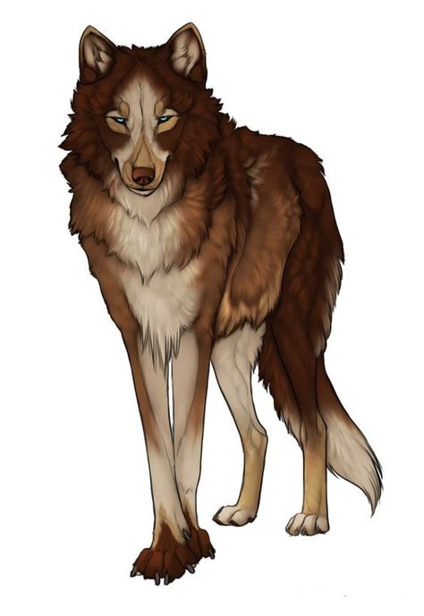 Anime Wolves, Anime Wolf Drawing, Twilight Wolf, Wolf Colors, Canine Drawing, Wolf Character, Wolf Artwork, Fantasy Wolf, Werewolf Art