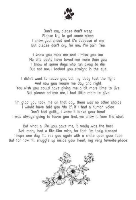 Dogs Heaven And Pet Loss, Dog Memorial Quotes Miss You, Pet Poems Dogs Lost, Waiting At The Door Dog Poem, Memorial For Pets Dogs, If Love Could Have Saved You Quote Dog, Message From Dog In Heaven, Letter From Dog To Human, Poem For Dog Passing