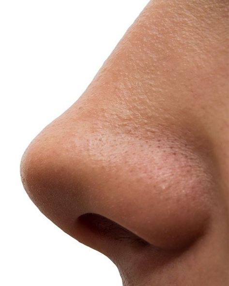 Nose Close Up, Nose Reference Photo, Nose Side View, Noses Reference, Nose References, Nose Drawing Reference, Nose Image, Side View Reference, Nose Reference