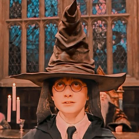 Quidditch Aesthetic, Harry Potter Groups, Hp Movies, Spider Species, Harry Potter Sorting, Harry Potter Sorting Hat, Harry Potter Classroom, Skin Paint, Rowling Harry Potter