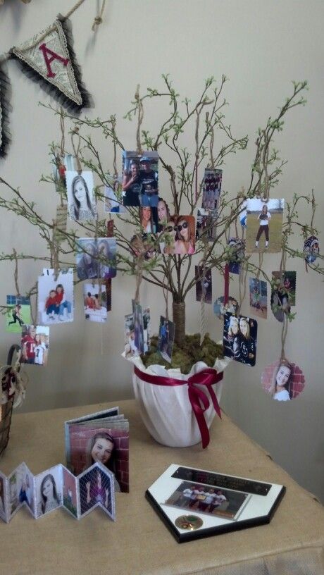 Graduation photo tree! I used foam insulation to secure the branches in a clay pot. I wrapped the pot with muslin, finished off with a ribbon in her school color, and hot glued with moss. Decorate the branches with your favorite photos of your graduate. Picnic Decor, Graduation Table, Graduation Tables, Picnic Decorations, Memory Board, Yearbook Photos, School Reunion, Graduation Photo, Foam Insulation