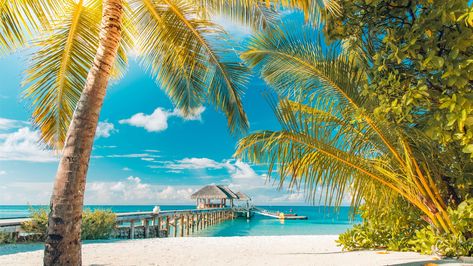 Wallpaper Sea, Sunny Day, Sunshine, Summertime, Beach Exotic Travel Destinations, Tropical Travel Destinations, Gili Trawangan, Maldives Island, Tropical Travel, Tropical Beaches, Destination Voyage, Beach Landscape, Tropical Landscaping