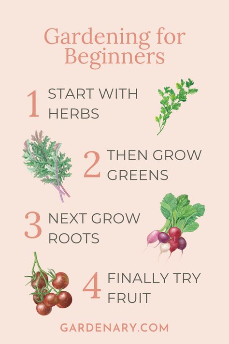 If you're a beginner gardener, the easiest way to get started learning how to garden is by following these four steps. Learn To Garden, Small Beginner Garden, Best Vegetables To Grow For Beginners, Garden For Beginners Vegetable, Home Steading For Beginners, Easy Beginner Garden, How To Start A Garden For Beginners, Basic Homesteading, Starting A Garden For Beginners