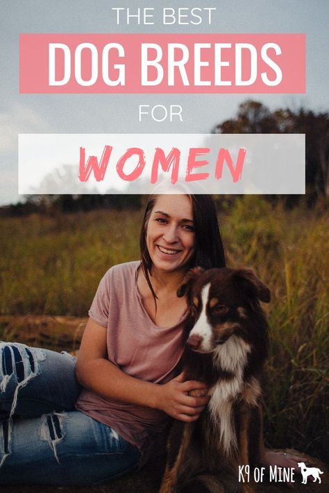 Which dog breeds are best for women? Any dog is a great companion for a girl, but we have a few top breed picks here! #dogs #dogbreeds #bestdogs #bestbreeds #women #bestforwomen #girlpower Getting A Dog, Dog Breeds List, Designer Dogs, Companion Dog, Best Dog Breeds, Different Dogs, Pet Hacks, Spoiler Alert, Dry Dog Food