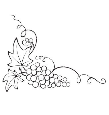 Design+element+-+grapevine+vector+831735+-+by+imagination13 on VectorStock® Grape Drawing, Vine Drawing, Wine Grapes, Wood Burning Crafts, Wood Burning Patterns, Wood Burning Art, Picture Design, Fabric Painting, Glass Painting