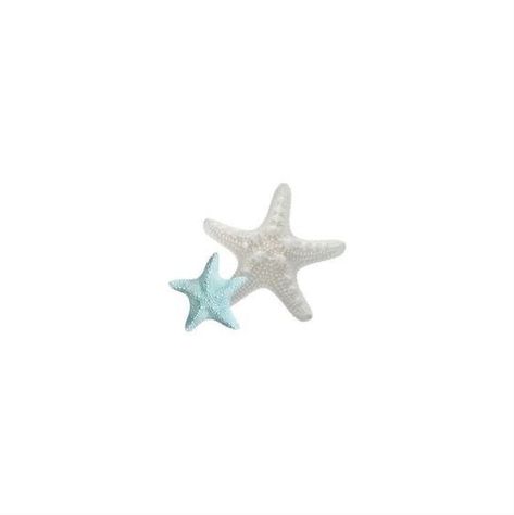 Starfish Widget, Phone Wallpaper Themes, Web Cafe, Lockscreen Ios, Beach Icon, Summer Iphone, App Pictures, Summer Icon, Iphone Wallpaper App