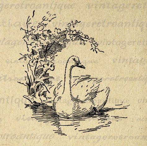 Duck Graphic, Tiny Tattoo, Arte Sketchbook, Calico Critters, Art Et Illustration, Vintage Poster Art, Cool Art Drawings, Sketchbook Art Inspiration, Art And Illustration