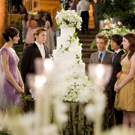 Bella and Edward's wedding cake Bella And Edward Wedding, Breaking Dawn Wedding, Huge Wedding Cakes, Dawn Wedding, Huge Wedding, Twilight Saga Books, Twilight Wedding, Tv Weddings, Twilight Saga Series