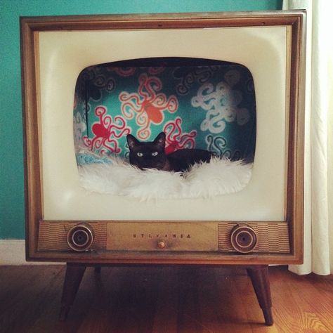 Retro Television, Katt Grejer, Kat Diy, Television Set, Vintage Tv, Retro Tv, Cat Room, Cat Diy, Old Tv