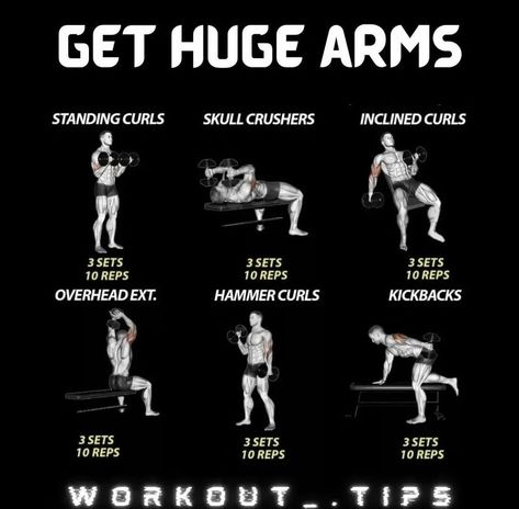 Exercise At Gym, Musclepharm Workouts, Muscle Quotes, Strength Training Quotes, Exercises With Weights, Arm Exercises With Weights, Gain Meals, Arms Exercise, Motivation Men