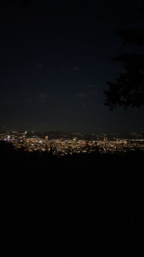 Visiting a view point at night understanding a clear view of Portland downtown city. Portland At Night, Night View City Lights, Late Night Sky, Late Night City, Edge City, City Lights At Night, Mountain Pictures, Portland City, Late At Night