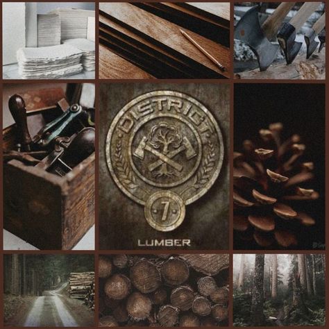 District 7 Hunger Games, District 7 Aesthetic, Finnick And Annie, Book Vision Board, Districts Of Panem, Hunger Games Oc, Hunger Games Districts, Effie Trinket, Snow Bird