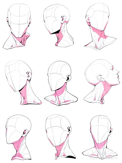 Face Views Angles To Draw, How To Draw Head And Neck, Face Anatomy Drawing Practice, Manga Face Angles, Neck Drawing Anatomy, Head Pov Reference, Neck Turn Reference, Head To Shoulder Poses, Head Bust Drawing Reference