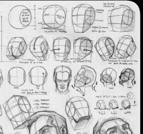 Atonomy Drawing, Draw Head, Loomis Method, Drawing The Human Head, Art Of Drawing, Head Anatomy, Human Body Drawing, Head Drawing, 얼굴 드로잉