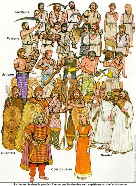 Gaulish social hierarchy (although Druids were technically higher than chieftains) Ancient Ireland, Celtic Warriors, Ancient Celts, Celtic Heritage, Ancient Warfare, Celtic Culture, Celtic Mythology, Viking History, Celtic Art