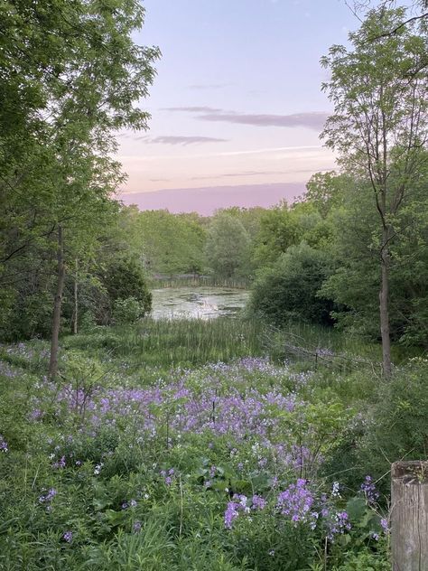 Lavender Aesthetic, Wild Forest, Rainbow Aesthetic, Forest Flowers, Purple Sky, Spring Aesthetic, Get Outdoors, Fantasy Aesthetic, Lavender Fields