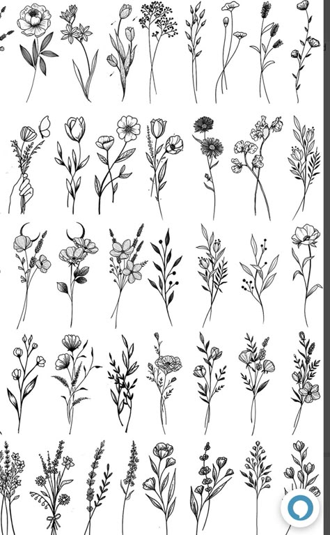 Wild Flowers Line Drawing, Astilbe Tattoo, Minimalist Flower Tattoo Line Drawings, Wildflower Leg Tattoo, Flower Flash Sheet, Wildflower Tattoos For Women, Floral Flash Tattoo, Minimalistic Flower Tattoo, Flower Flash Tattoo