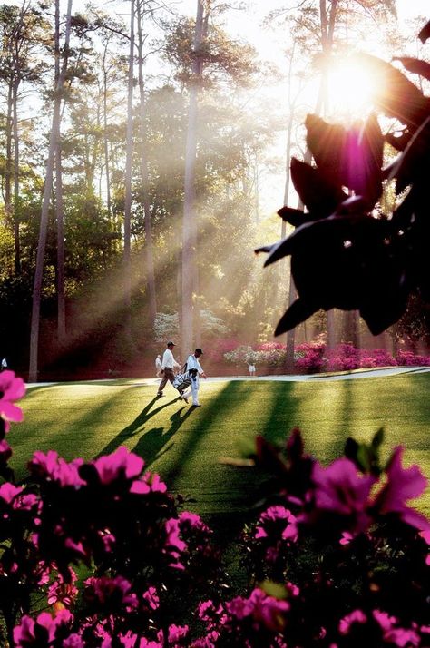 Masters week in Augusta, Georgia. Augusta Golf, Golf Buggy, Masters Golf, Augusta Georgia, Augusta National Golf Club, Public Golf Courses, Golf Rules, Best Golf Courses, Golf Tips For Beginners