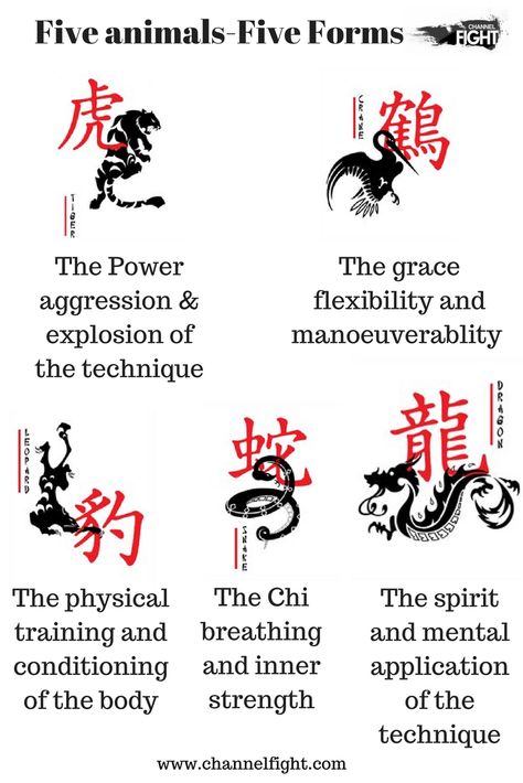 In the Chinese martial arts, imagery of the Five Animals (Chinese: 五形; pinyin: wǔ xíng; literally: "Five Forms")—Tiger, Crane, Leopard, Snake, and Dragon—appears predominantly in Southern styles, especially those associated with Guangdong and Fujian Provinces. An alternate selection which is also widely used is the crane, the tiger, the monkey, the snake, and the mantis. Karate Training Exercises, Martial Arts Tattoos, Martial Arts Sparring, Kung Fu Martial Arts, Shaolin Kung Fu, Military Decor, Bodybuilding Diet, Tai Chi Chuan, Martial Arts Techniques