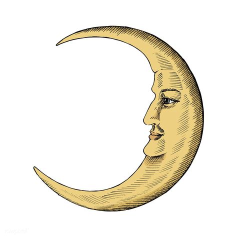 Hand drawn sketch of a crescent moon | premium image by rawpixel.com Moon Illustration Aesthetic, Half Moon Painting, Crescent Moon Aesthetic, Crescent Moon Drawing, Crescent Moon Illustration, Letterpress Tray, Vintage Crescent Moon, Moon Faces, Vintage Astronomy