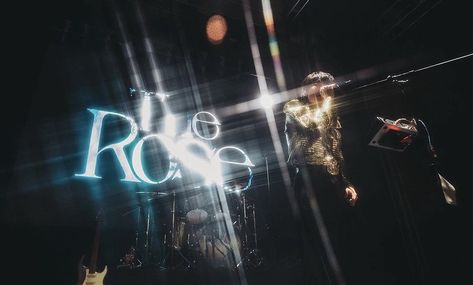 The Rose Desktop Wallpaper, The Rose Aesthetic, The Rose Concert, The Rose Woosung, The Rose Kpop, Rose Notebook, Rosé Back, Rosé Concert, Band Photography