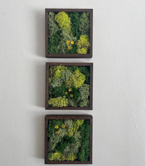 Moss Wall Art Moss Decor Single to Set of Six Wood Square Frame Preserved Moss Live Moss Green Christmas Gift Mothers Day - Etsy Room With No Windows, Growth Chart Wood, Wood Hexagon, Nature Room, Moss Decor, Reindeer Moss, Moss Wall Art, Moss Art, Preserved Moss