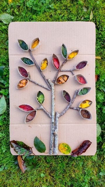 🌿 Nicky🌻| sustainable arts, crafts and learning on Instagram: "🍂 Autumn tree scissor skills 🍂 ✨Low prep activity - do this today!✨ Spend about 10mins during quiet play to prep this easy scissor skills activity for your little one 🤩 I used a few dry twigs from the garden, a piece of imperfect cardboard, and 3 TP roll cut into 6 each. Hot glued them down in a tree shape et voila! Charlotte and I spent a good hour in the autumn sunshine this morning happily collecting leaves from the lawn, sor Tree Art Activities, Trees Eyfs Activities, What Grows On Trees Preschool Activities, Tree Study Creative Curriculum Preschool Art, Tree Art For Kids, Tree Provocations Preschool, Tree Study Arts And Crafts, Autumn Tree Craft, Trees And Leaves Activities For Toddlers