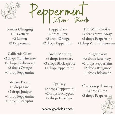 Gya Labs Peppermint Essential Oil Blends, Best Peppermint Oil Peppermint Essential Oil Benefits, Essential Oil Combos, Stimulating Hair Growth, Essential Oils Diffuser Blends, Essential Oils Candles, Mint Essential Oil, Essential Oil Diffuser Blends Recipes, Essential Oils Diffuser, Essential Oil Diffuser Recipes