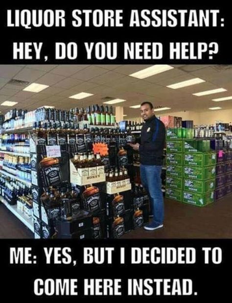 Me at the liquor store Alcohol Humor, Drinking Quotes, Drinking Humor, Daily Funny, Liquor Store, Twisted Humor, School Humor, Love Is In The Air, Dad Jokes