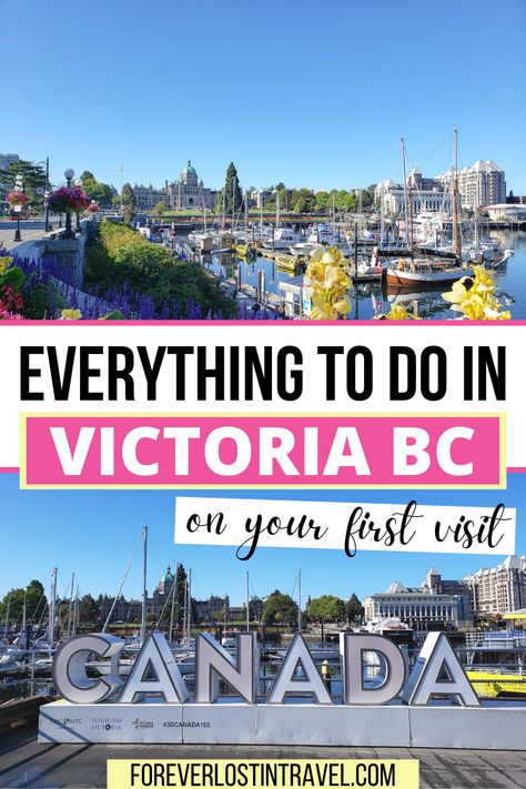 British Columbia's capital is a beautiful city with a small town feel. Set around the beautiful harbor, this small Vancouver Island city has tons of activities. Check out some of the best things to do in Victoria for any first time visitor, from animal encounters to outdoor spaces  #VictoriaBC #VictoriaCanada #Canada #foreverlostintravel #travel #cityguide #WestCoast #VancouverIsland Victoria Canada British Columbia, Vancouver Vacation, Columbia Travel, Victoria Vancouver Island, Seattle Vacation, British Columbia Travel, Alaska Trip, Animal Encounters, Vancouver Travel