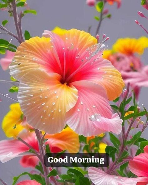 Good Morning Flowers Awesome, God Morning Quotes, Good Morning Image, Morning Pic, Good Morning Greeting Cards, Krishna Hindu, Good Morning Coffee Gif, Coffee Gif, Birthday Wishes Flowers