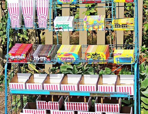 Outdoor Movie Ideas, Movie Theater Party Ideas, Outdoor Movie Birthday, Movie Party Ideas, Movie Ideas For Kids, Family Movie Night Snacks, Diy Backyard Movie Night, Movie Theater Party, Dive In Movie