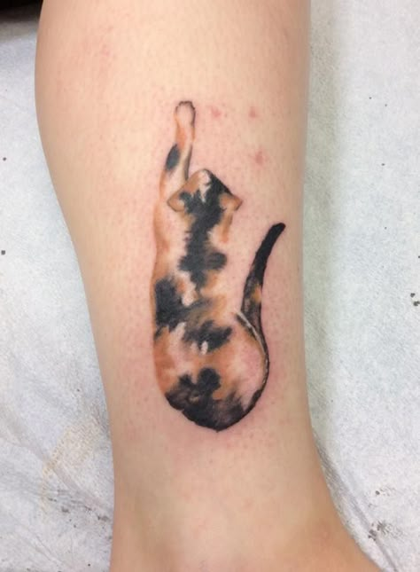 My tattoo. Childhood Cat Tattoo, Sentimental Cat Tattoos, Cat Collarbone Tattoo, Ankle Cat Tattoo, Tortishell Cat Tattoos, Tortie Cat Tattoo, Cat Tattoo Designs Unique, Tattoo For Cat That Passed, Cat Tribute Tattoo