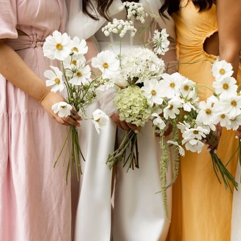 Bridesmaids No Bouquets, Bridesmaid Bouquets Simple, Bridesmaid Bouquet Simple, Hydrangeas Bouquet, Simple Bridesmaid Bouquet, Bridesmaid Flowers Simple, Simple Bouquet, Bridesmaids Bouquets, Simple Bridesmaid Bouquets