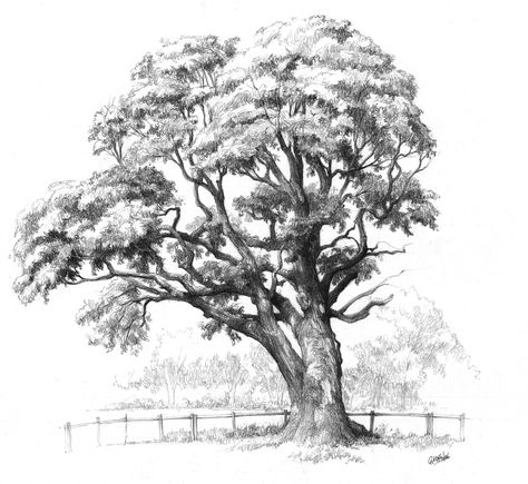 Pencil works with foliage, Grzegorz Korniluk on ArtStation at https://www.artstation.com/artwork/yKymx Big Tree Drawing, Tree Pencil Sketch, Drawing Of A Tree, Trees Drawing Tutorial, Union College, Landscape Pencil Drawings, Tree Doodle, Pencil Trees, Tree Drawings Pencil