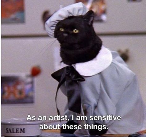 Salem Saberhagen, Cassandra Calin, Salem Cat, Hard Rock Hotel, 귀여운 동물, Movie Quotes, An Artist, Reaction Pictures, Mood Pics