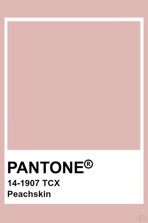 Pantone Peachskin Dusty Pink Pantone, Pantone Postcards, Pantone Shades, Pantone Rose, Pink Pantone, Pantone Colours, Pantone Color Chart, Murs Roses, Pantone Swatches