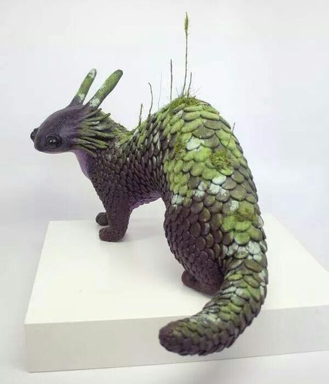 .'The Dobhar-chú is a creature of Irish folklore and a cryptid. Dobhar-chú is roughly translated into "water hound." It resembles both a dog and an otter though sometimes is described as a half dog, half fish. It lives in water and has fur with protective properties.' Celtic Folklore Creatures, Water Cryptid, Otter Dragon, Folklore Animals, Stone Creature, Celtic Creatures, Folklore Creatures, Dragon Dog, Earth Dragon