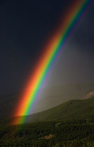 I HAVE SET MY RAINBOW IN THE CLOUDS, AND IT WILL BE THE SING OF THE COVENANT BETWEEN ME AND THE EARTH. Genesis 9:13. The Bible. Scrapbook Photos, Rainbow Rain, God's Promise, Tear Drops, Love Rainbow, Cloudy Day, Beautiful Rainbow, Beautiful Sky, Over The Rainbow