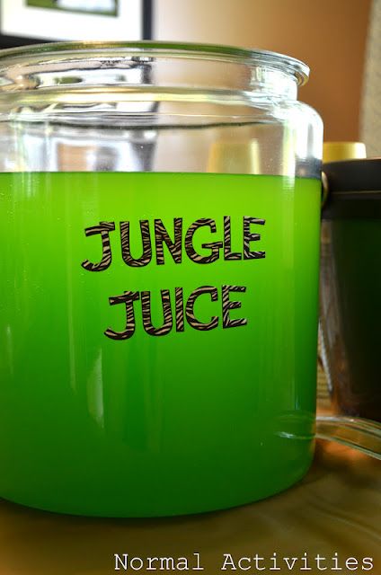 Normal Activities: welcome to the jungle Welcome Two The Jungle, Jungle Theme First Birthday, Jungle Snacks, Jungle Party Food, Jungle Book Party, Jungle Juice Recipe, Theme First Birthday, Wild Birthday Party, Disney Cars Party