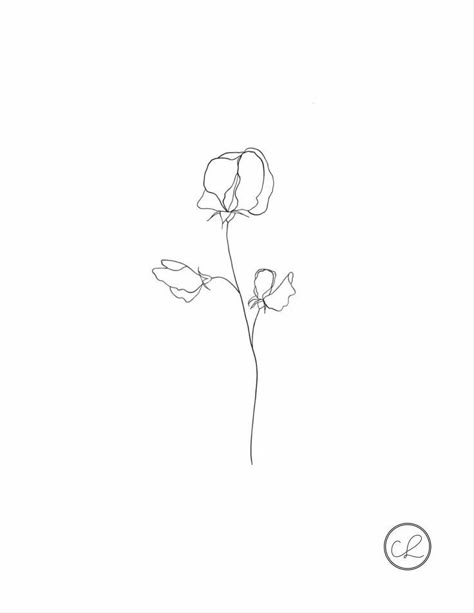 Tattoos Sweet Pea, One Line Sweet Pea Tattoo, Sweet Pea Drawing Tattoo Ideas, Sweet Pea Outline, Sweet Pea Sketch, Sweetpea Flower Drawing, Sweet Pea Line Tattoo, Sweet Pea Line Drawing, Sweet Pea Line Art