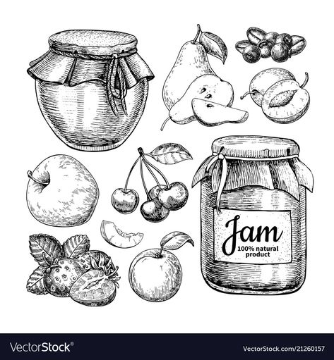 Strawberry Vector, Drawing Fruit, Drawn Food, 귀여운 음식 그림, Food Sketch, Object Drawing, Fruit Jam, Apple Pear, Food Illustration