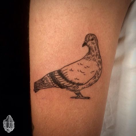 Simple Pigeon Tattoo, Canadian Goose Tattoo, Buddy Tattoos, Tattoo Pigeon, Pigeon Tattoo, Etching Tattoo, Places For Tattoos, Engraving Tattoo, Funky Tattoos