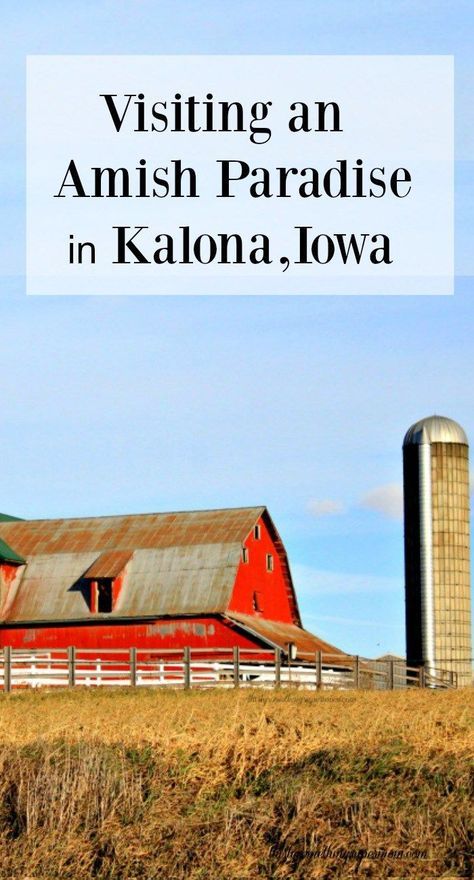 Kalona Iowa, Iowa Road Trip, Midwest Vacations, Travel Thoughts, Sister Trip, Iowa Travel, Retirement Ideas, Fort Myers Beach, Chicago Restaurants